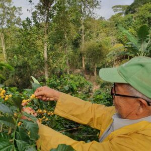 Projektspende: nachhaltiger Kaffee